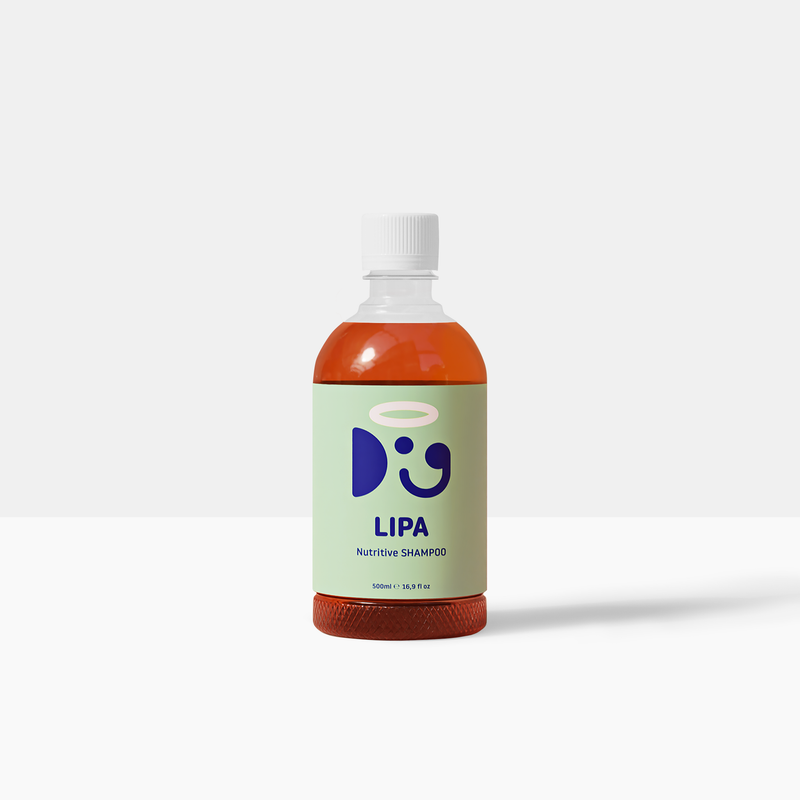 LIPA NUTRITIVE SHAMPOO | Unleash the Power of Deep Nourishment